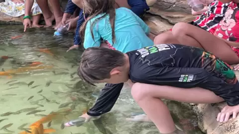 Férias regenerativas