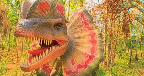 Vale dos Dinossauros em Olímpia SP