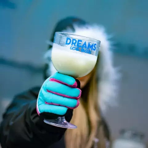 Dreams Ice Bar - Uma aventura Gelada em Olímpia