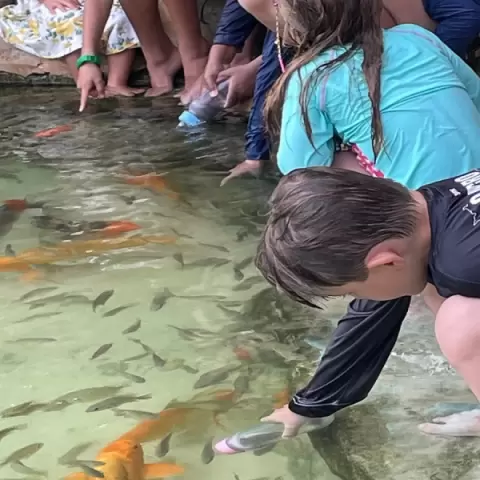 Férias regenerativas