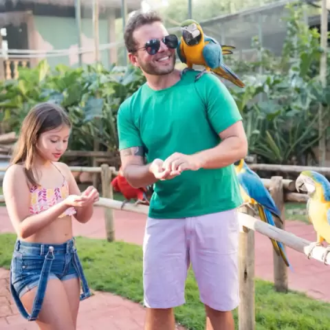 Top 5 Atrações para Família no Thermas dos Laranjais