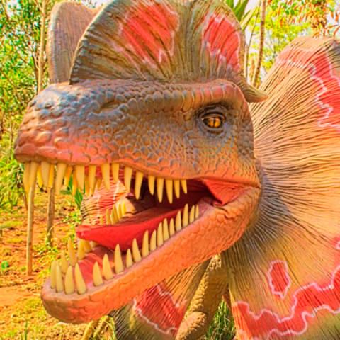 Vale dos Dinossauros em Olímpia SP