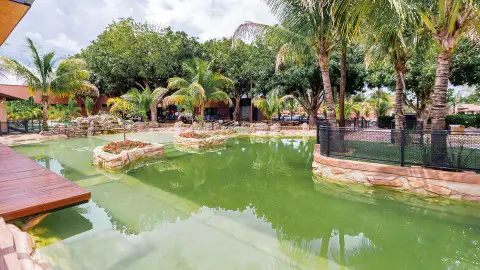 Hospedagem para o Réveillon em Olímpia SP