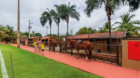 Hospedagem para o Réveillon em Olímpia SP