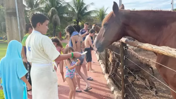 Hotéis em Olímpia com fazendinha