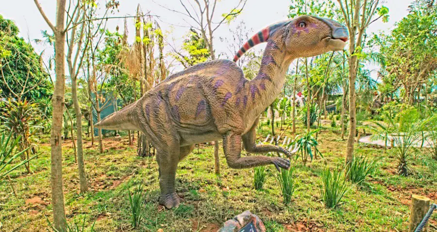 Vale dos Dinossauros em Olímpia SP - Venha viver essa aventura jurássica