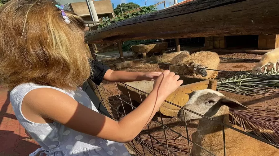 Imagem destauente: Descubra o Carpe Diem Eco Resort em Olímpia, um refúgio de natureza